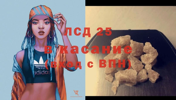 стаф Кулебаки