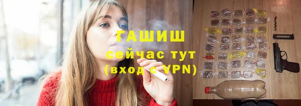 стаф Кулебаки