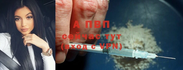 стаф Кулебаки