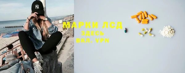 стаф Кулебаки