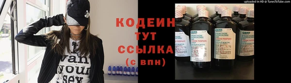 стаф Кулебаки