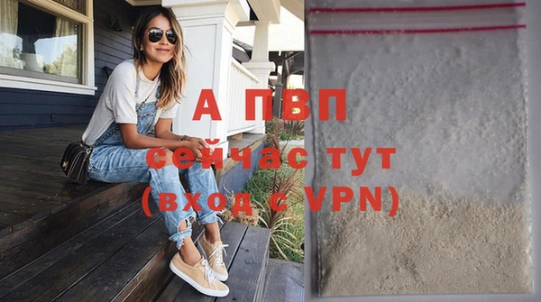 индика Куйбышев
