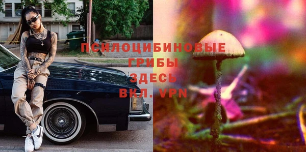 индика Куйбышев
