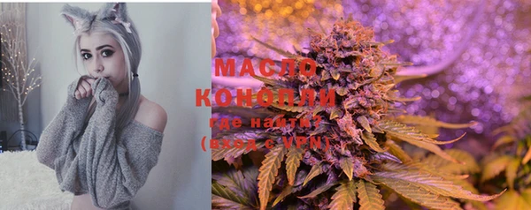 индика Куйбышев