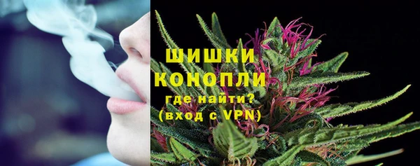 индика Куйбышев