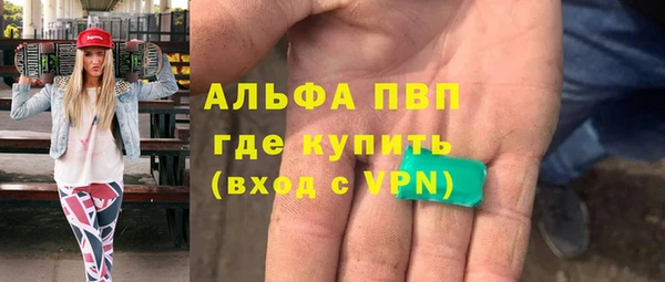 стаф Кулебаки